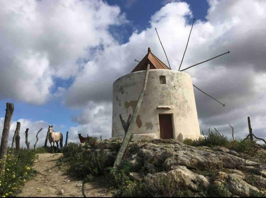 La Torre Eco-Suite Vejer de la Frontera Εξωτερικό φωτογραφία